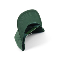 Casquettes Snapback à visière plate vert feuille tropicale en polyester et coton, 5 panneaux, logo brodé, style Hip Hop