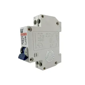 DPN 220V 4.5kA 1P+N 6A 10A 16A 20A 25A 32A MCB Miniature Circuit Breakers With Overload Overcurrent Protection