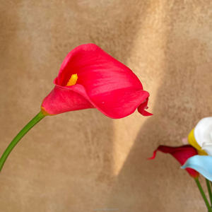 Fleurs artificielles de lys calla en plastique de haute qualité, style réaliste et naturel, faites à la main pour la Saint-Valentin et le Nouvel An - Product Image 6