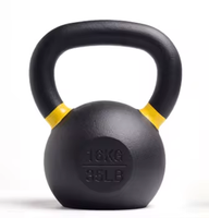 Équipement de gymnastique Cross Training Popular Powder Cast Kettle bell