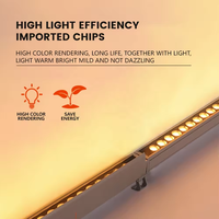 Lampe murale LED, AC 220V, IP65, étanche, bande lumineuse longue pour la publicité extérieure des bâtiments