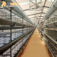 Système de cage à niveaux en H professionnel pour une gestion efficace de la production d'œufs au Sénégal