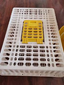 Usine vente plastique volaille chiffre d'affaires boîte volaille poulet canard pliable élevage transport Cage - Product Image 6