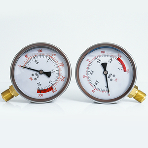 Roestvrijstalen Behuizing Digitale Balkketel Drukmeter 0-15psi Model Yn100 Haiyixing Merk Oem Fabrikant - Product Image 4
