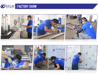 Machine de fabrication automatique de croquettes pour chiens et animaux de compagnie