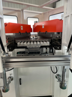 Máquina de Moldeo por Soplado Automática de Alta Velocidad para HDPE/PP/PS con Tecnología de Accionamiento por Motor para Botellas de Uso Médico y de Pesticidas, Certificación CE