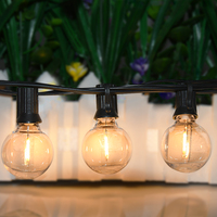 Ampoule à filament LED vintage Edison G40 de haute qualité, à intensité variable, avec télécommande pour le remplacement de lampes de jardin