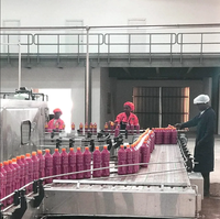 Ligne de production de sauce tomate, ketchup, pulpe de tomate, concentré de tomate