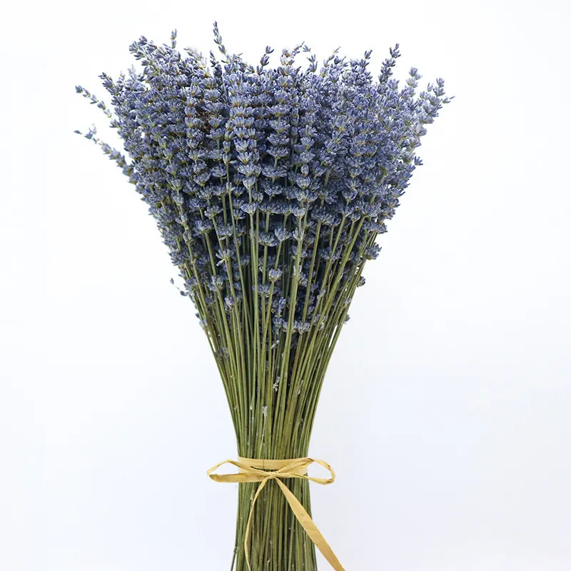 Vente en gros prix raisonnable décoration maison bouquets de lavande bleue fleurs de lavande séchées