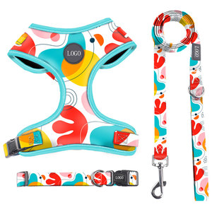 Arnés para mascotas de alta calidad, juego de cuerda de tracción, estilo coreano a la moda, arnés para cachorros y gatos, correa de tela de malla transpirable para perros - Product Image 2