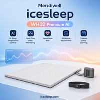 Ensemble de lit d'hôtel intelligent à contrôle de température adaptatif AI Sleep-Stage, réveil silencieux, mémoire de forme, rafraîchissant, double zone, 600TC, luxe, taille complète