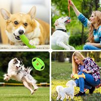 Site Web de vente en gros en ligne G, variété assortie de jouets pour chiens