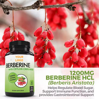 Suppléments d'extrait de plantes Chlorhydrate de berbérine Hcl 400mg 500mg Capsules de berbérine Soutien immunitaire