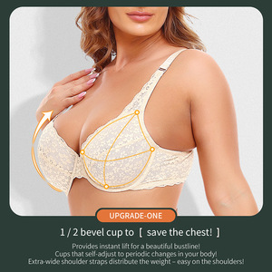 Sous-vêtements en dentelle jacquard européen et américain avec anneau en acier, soutien-gorge de grande taille, bonnet DEF, vente en gros - Product Image 4
