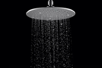 Pommeau de douche à effet pluie rond en nickel brossé de 8.5 pouces à grand panneau de taille personnalisée
