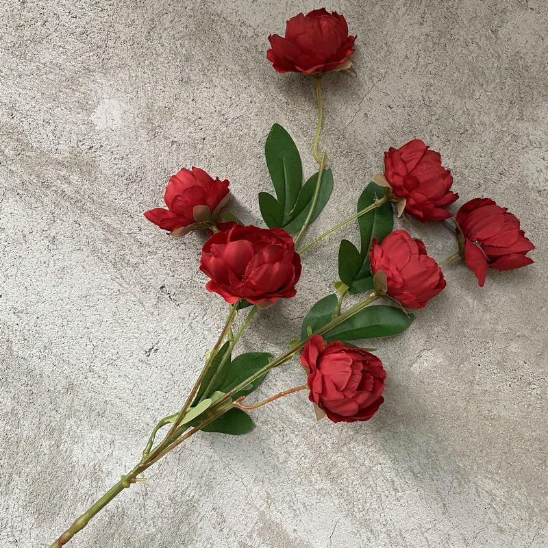 7 pivoines exquises en rouge vif