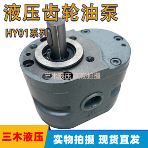 Pompe à engrenages Luosheng Hy01, 1 étage, en fonte, pompe de surpression électrique, pompes hydrauliques - Product Image 5