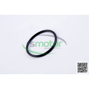 อะไหล่เครื่องจักรผลิตใหม่สำหรับเครื่องยนต์ก๊าซธรรมชาติสำหรับ RS-01153835 MWM - Product Image 2