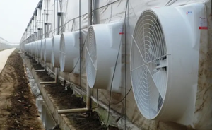 Ventilador de Extracción Profesional para Invernadero de Fibra de Vidrio con Obturador Automático para Control Climático en Edificios Agrícolas - Product Image 5