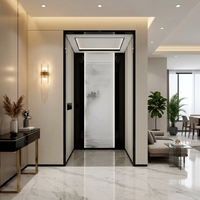 Ascenseur de villa à cadre en acier inoxydable, personnalisable, capacité de charge de 400 kg pour 2-3 passagers, design moderne, intelligent