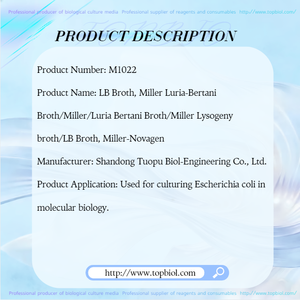 Bouillon de Miller <span class=keywords><strong>Luria</strong></span>-Bertani, utilisé pour la culture d'Escherichia Coli en biologie moléculaire - Product Image 2