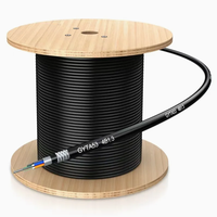 Kabel Serat Optik Berlapis Baja GYXTY Outdoor Central Tube untuk Komunikasi, 4 6 8 12 Core, Promo Hot Sale