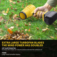 Souffleur d'air électrique portatif de qualité industrielle 21V avec turbo jet, vent violent pour voiture, jardin, usage extérieur et professionnel