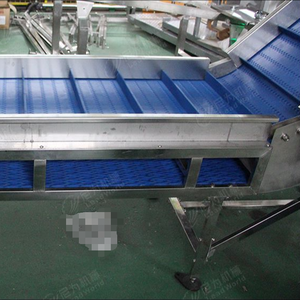 Aangepaste Verpakkingslijn <span class=keywords><strong>Z</strong></span> Lift Plastic Vlakke Top Modulaire Transportband - Product Image 3