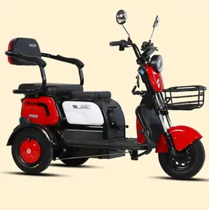 Tricycle électrique 600W 48V vélo électrique à usage familial scooter électrique à 3 roues pour tricycle adulte