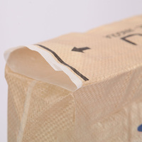 Sac en toile tissée PP avec valve de 20 kg, 25 kg, 40 kg, 50 kg pour ciment Portland, poudre de ciment et mastic
