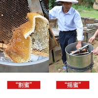 제조업체 도매 다종 꽃잎 허니 아카시아 네이티브 비 필드 배럴 허니 75kg 벌크 공급
