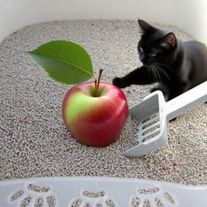 Muestras gratuitas de arena para gatos de bentonita natural Premium 100% con control de olores - Product Image 5