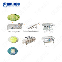 Apple/Peer/Mango Reinigingsverwerkingsapparatuur Voor Fruitgroente Wassen Droogverwerkingslijn