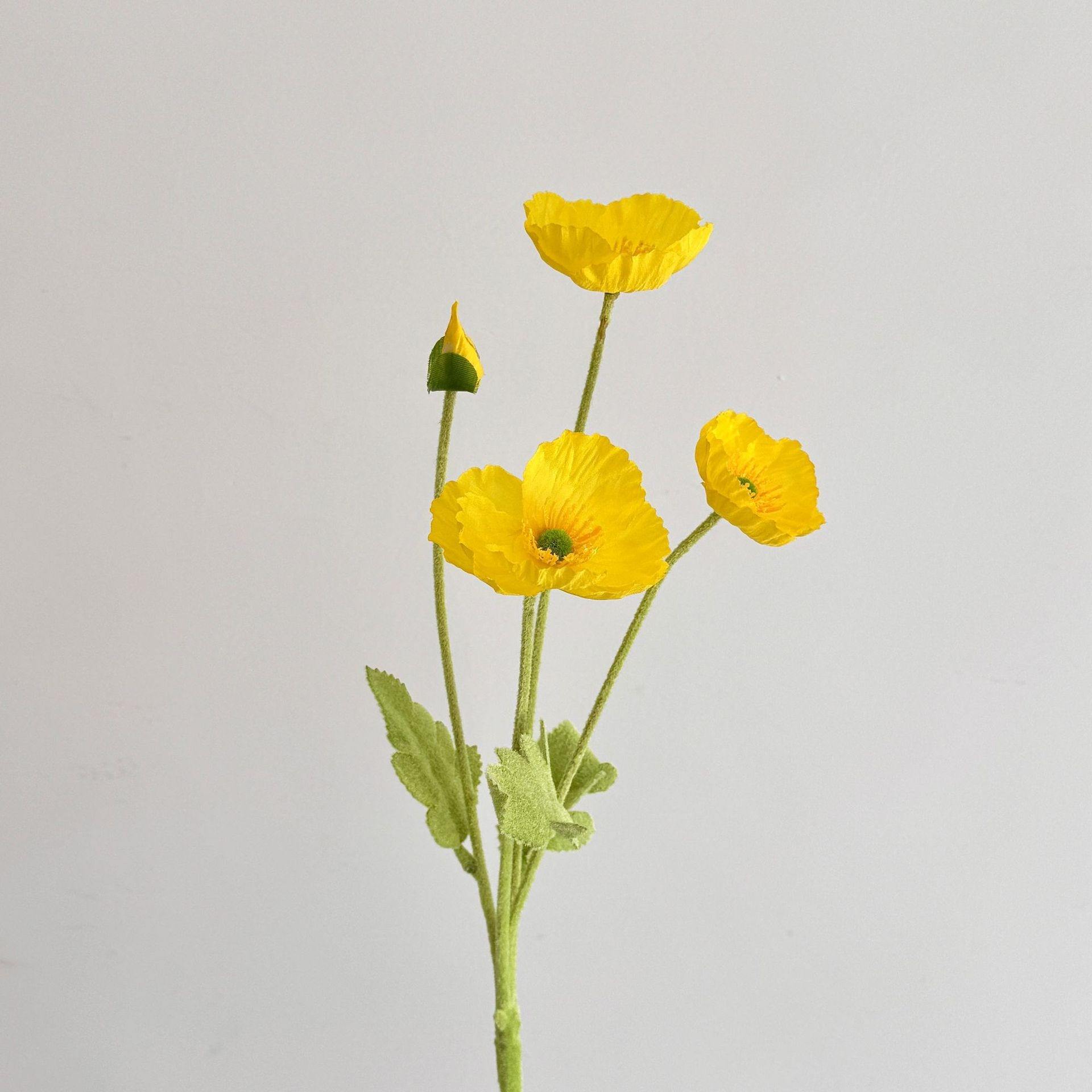 สีเหลือง