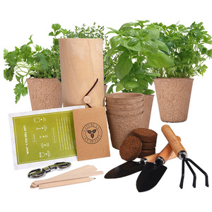 <span class=keywords><strong>Cadeau</strong></span> <span class=keywords><strong>de</strong></span> Noël créatif, vente en gros, emballage en bois biodégradable, ensemble d'outils <span class=keywords><strong>de</strong></span> <span class=keywords><strong>jardinage</strong></span> pour pot <span class=keywords><strong>de</strong></span> fleurs, cadeaux d'anniversaire et <span class=keywords><strong>de</strong></span> Noël - Product Image 2