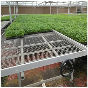 Agriculture Movable Hydroponic Rolling Breeding Ebb And Flow Grow Bench