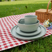 Service de table en céramique de luxe moderne |   Ensemble de 4 assiettes et bols gris |   Utilisation en hôtel et restaurant, compatible lave-vaisselle, résistant à la chaleur