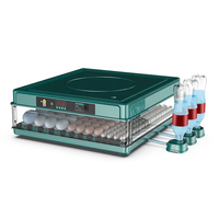 Incubateur vert 100 œufs, double alimentation, couveuse automatique pour œufs de poulet AC220V DC12V