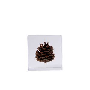 Adorno de Cubo de Resina Acrílica con Piña de Pino Integrada, Decoración Minimalista Cuadrada para Sala de Estar, Regalo de Cumpleaños, Paquete Individual - Product Image 5