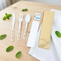 Vaisselle jetable couteau fourchette cuillère compostables couverts 170mm écologique couverts couleurs emballage personnalisé vente en gros