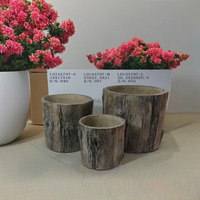 Pot de fleur fait à la main en forme d'arbre de style classique Kit de jardinière succulente en ciment pour jardin extérieur créatif Nouveau Design Carton