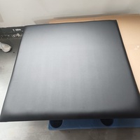 Rembourrage mural de golf de qualité commerciale certifié TB117 - Mousse d'impact haute densité pour simulateur de golf - Rembourrage insonorisant moderne pour studio