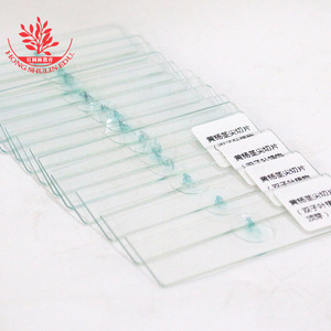 <b>Microscopic</b> slides, representative plant specimens, teaching aids, longitudinal section of boxwood terminal bud, biological - Product Image 3
