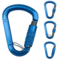 Mousqueton de sécurité professionnel en aluminium en forme de D, 24 kN, pour l'escalade, la montagne, équipement de sécurité robuste, karabiner