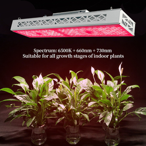 ไฟปลูกต้นไม้แบบ LED แอลอีดี แอนดี้ โทเมโท สตรอว์เบอร์รี ฟูลสเปกตรัม 300W/600W เลนส์อะลูมิเนียม สำหรับปลูกพืชแบบติดเพดาน - Product Image 6