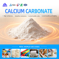 Poudre de carbonate de calcium broyée GCC 325 Mesh, chargeur minéral blanc pour tuyaux en PVC, profilés et câbles
