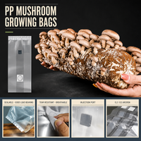 Sacs de culture de champignons respirants en PP, autoclavables, avec filtre de 0,2 micron, prix de gros
