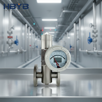 Medidor de Flujo de Rotor de Metal Líquido Industrial Dn25 Barato de China con Certificación Modbus Exd