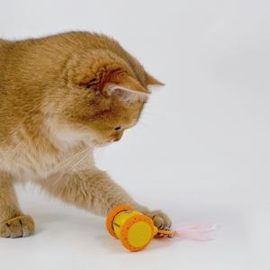 Jouet pour chat électrique à recharge USB, design original 2025, plastique écologique, longue durée de vie de la batterie, jouet interactif pour animaux de compagnie, mouvement - Product Image 6