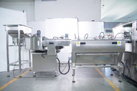 Machine d'emballage automatique ECHO pour sachets et coussins, personnalisable, fournisseur en gros, usine, fabricant